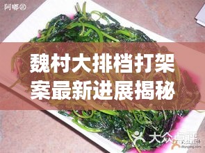 魏村大排檔打架案最新進展揭秘，案件動態令人矚目
