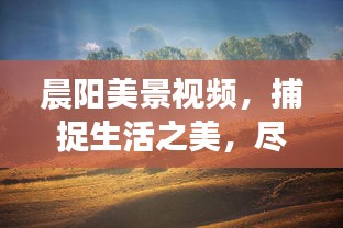 晨陽美景視頻，捕捉生活之美，盡享最新風景畫卷