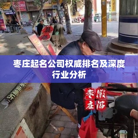 棗莊起名公司權威排名及深度行業分析