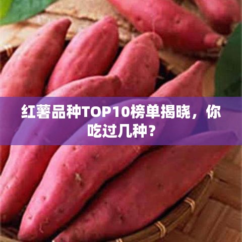 紅薯品種TOP10榜單揭曉，你吃過幾種？