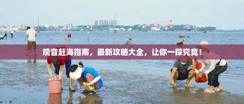 觀音趕海指南，最新攻略大全，讓你一探究竟！