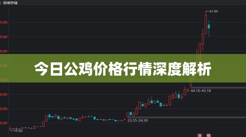 今日公雞價格行情深度解析