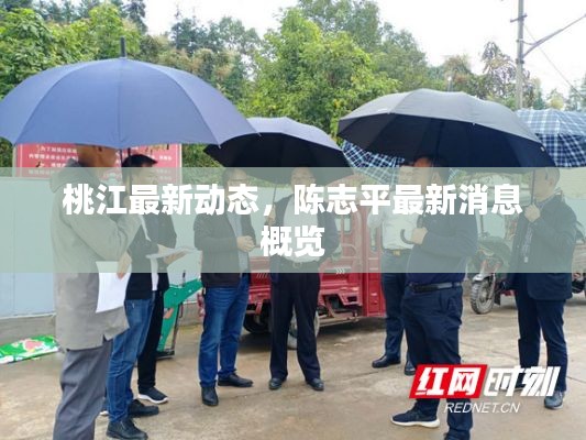 桃江最新動(dòng)態(tài)，陳志平最新消息概覽