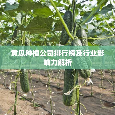 黃瓜種植公司排行榜及行業影響力解析