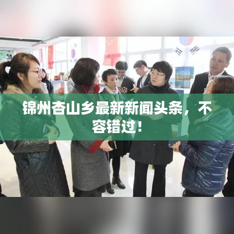錦州杏山鄉(xiāng)最新新聞?lì)^條，不容錯(cuò)過(guò)！