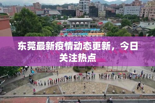 東莞最新疫情動態更新，今日關注熱點