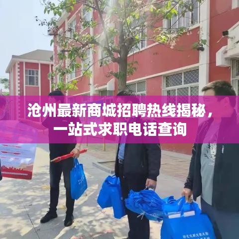 滄州最新商城招聘熱線揭秘，一站式求職電話查詢