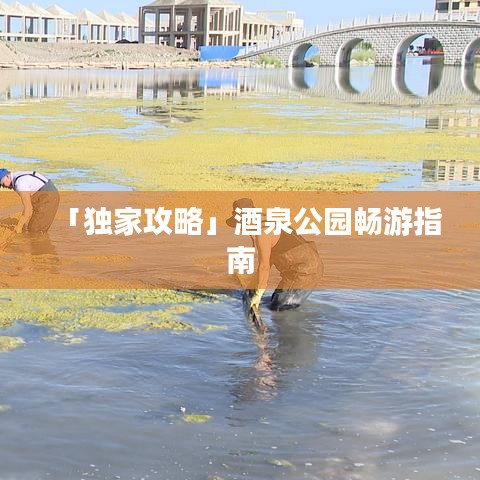 「獨家攻略」酒泉公園暢游指南