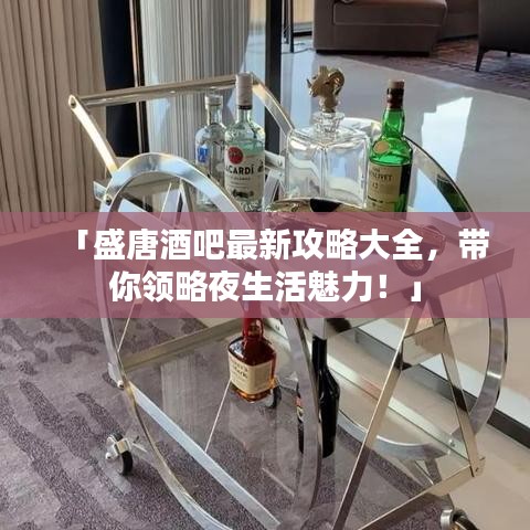 「盛唐酒吧最新攻略大全，帶你領略夜生活魅力！」