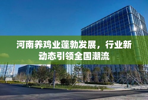 河南養雞業蓬勃發展，行業新動態引領全國潮流