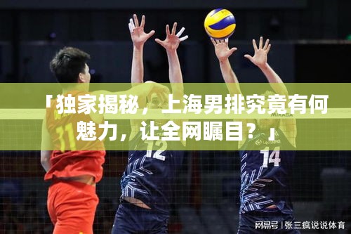 「獨家揭秘，上海男排究竟有何魅力，讓全網矚目？」