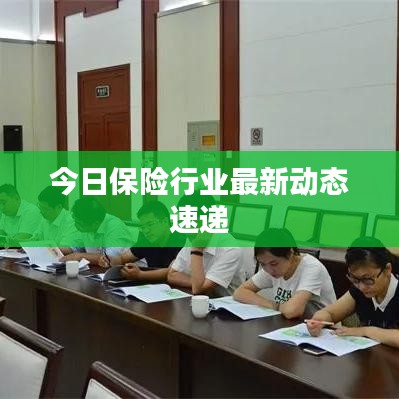 今日保險行業最新動態速遞