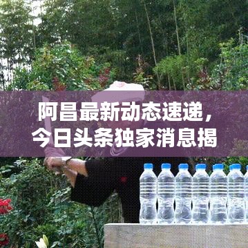 阿昌最新動(dòng)態(tài)速遞，今日頭條獨(dú)家消息揭秘