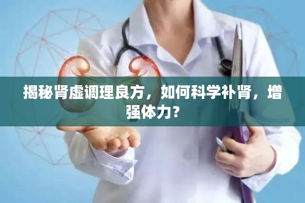 揭秘腎虛調理良方，如何科學補腎，增強體力？