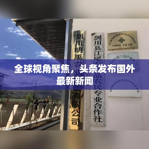 全球視角聚焦，頭條發布國外最新新聞