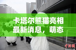 卡塔爾熊貓亮相最新消息，萌態(tài)可掬，引全球矚目