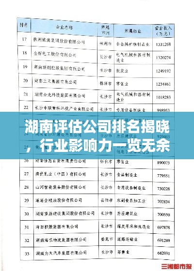 湖南評估公司排名揭曉，行業影響力一覽無余