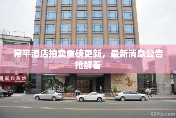 常平酒店拍賣重磅更新，最新消息公告搶鮮看