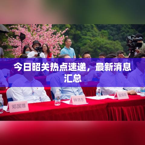 今日昭關熱點速遞，最新消息匯總