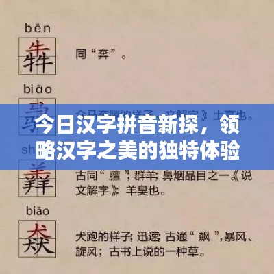 今日漢字拼音新探，領略漢字之美的獨特體驗