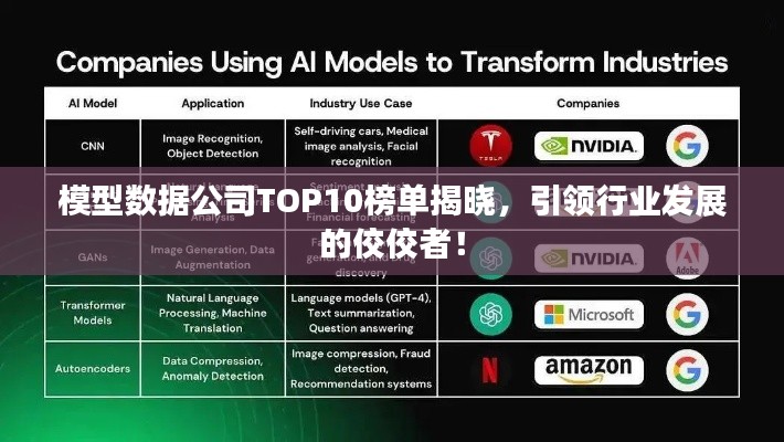 模型數據公司TOP10榜單揭曉，引領行業發展的佼佼者！