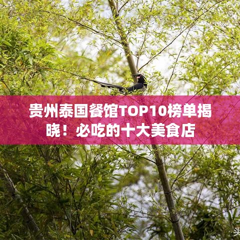貴州泰國餐館TOP10榜單揭曉！必吃的十大美食店