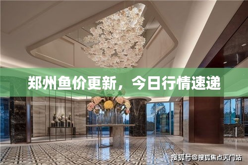 鄭州魚價更新，今日行情速遞