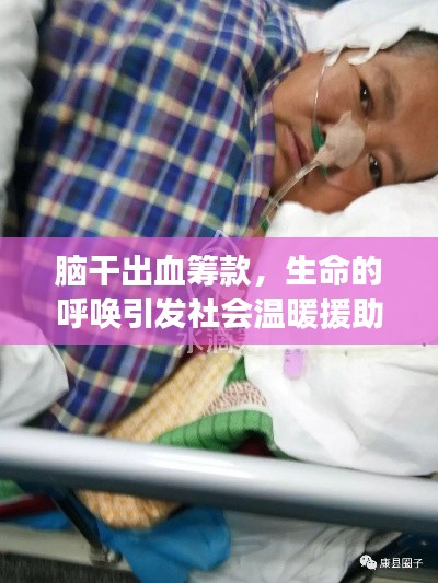 腦干出血籌款，生命的呼喚引發社會溫暖援助行動！
