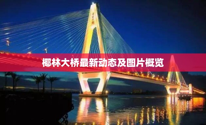 椰林大橋最新動態及圖片概覽