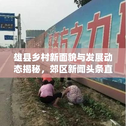 雄縣鄉村新面貌與發展動態揭秘，郊區新聞頭條直播報道