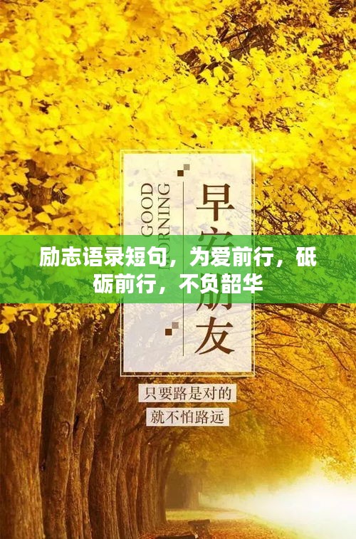 勵(lì)志語錄短句，為愛前行，砥礪前行，不負(fù)韶華