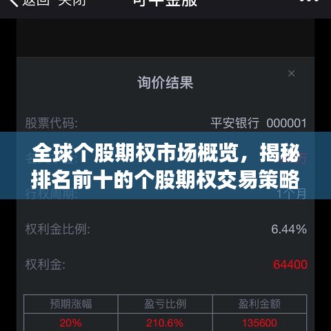 全球個(gè)股期權(quán)市場(chǎng)概覽，揭秘排名前十的個(gè)股期權(quán)交易策略解析