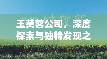 玉芙蓉公司，深度探索與獨特發(fā)現(xiàn)之旅