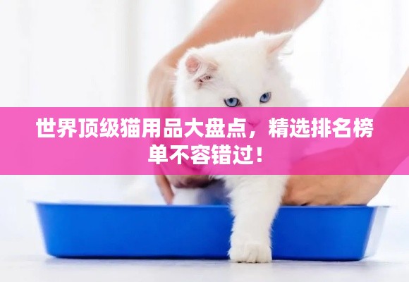 世界頂級貓用品大盤點，精選排名榜單不容錯過！