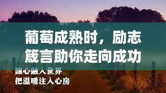 葡萄成熟時，勵志箴言助你走向成功之路