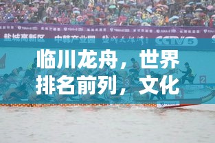 臨川龍舟，世界排名前列，文化影響力深遠