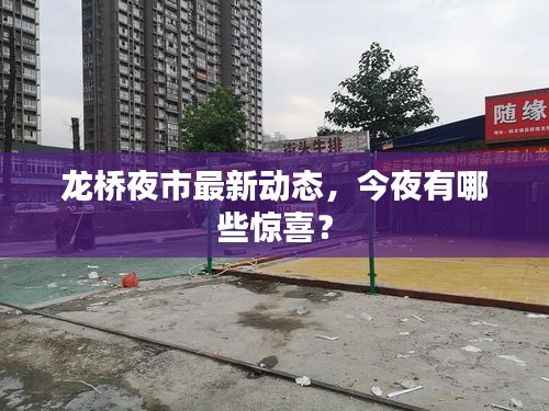 龍橋夜市最新動態(tài)，今夜有哪些驚喜？