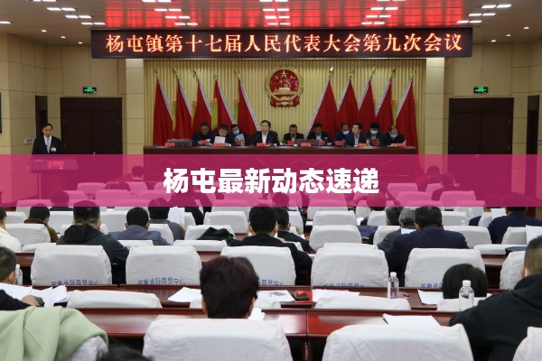楊屯最新動態速遞