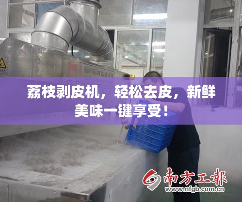 荔枝剝皮機(jī)，輕松去皮，新鮮美味一鍵享受！