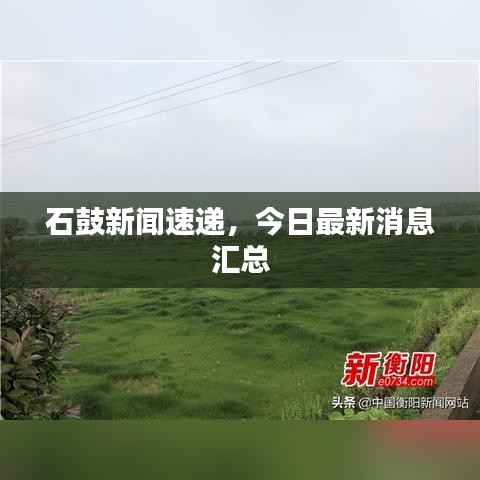 石鼓新聞速遞，今日最新消息匯總