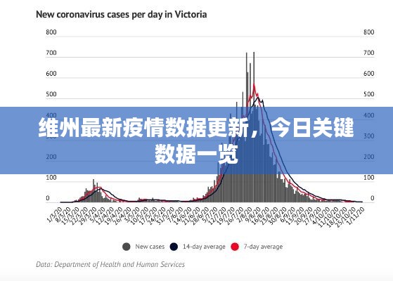 維州最新疫情數據更新，今日關鍵數據一覽