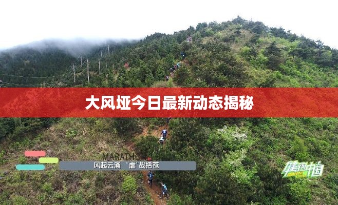 大風埡今日最新動態揭秘