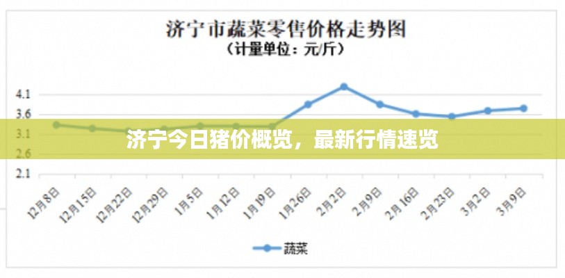 濟(jì)寧今日豬價(jià)概覽，最新行情速覽