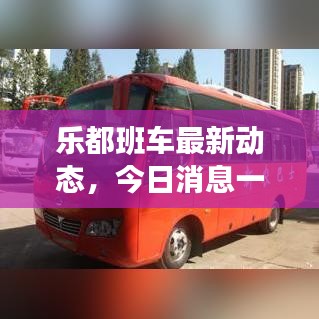 樂都班車最新動(dòng)態(tài)，今日消息一網(wǎng)打盡！