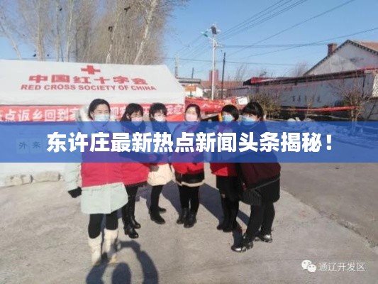 東許莊最新熱點新聞頭條揭秘！