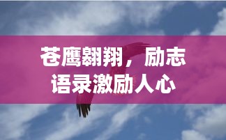 蒼鷹翱翔，勵志語錄激勵人心