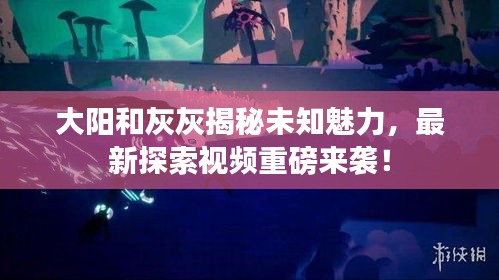 大陽和灰灰揭秘未知魅力，最新探索視頻重磅來襲！