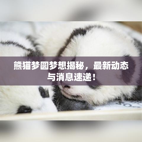 貴農賤商 第2頁
