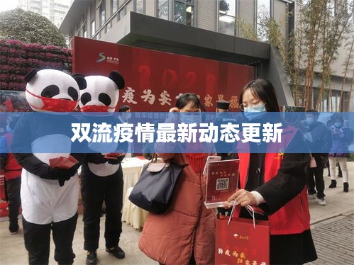 雙流疫情最新動態更新