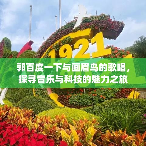 郭百度一下與畫眉鳥的歌唱，探尋音樂與科技的魅力之旅